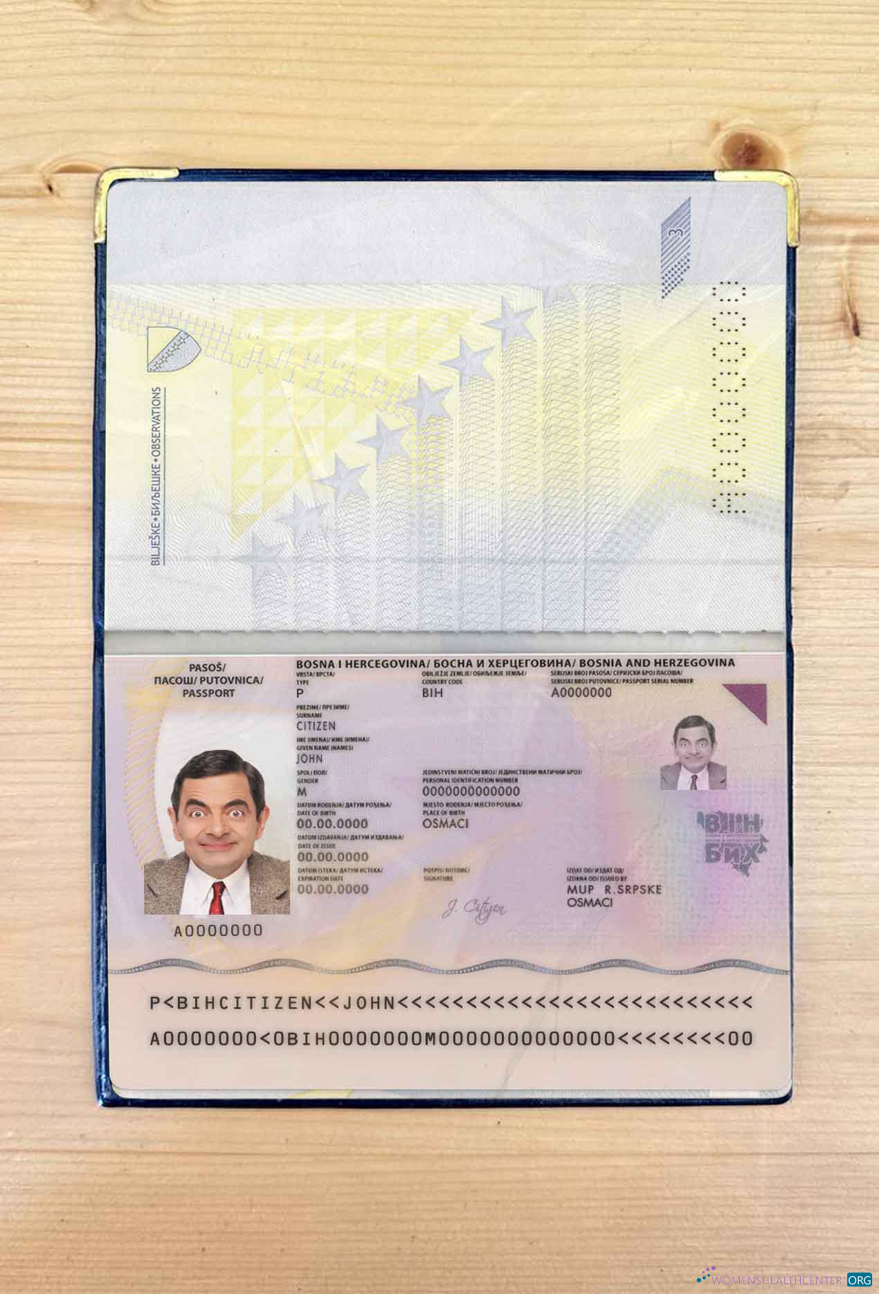 Download Bosnia & Herzegovina passport photo look Photoshop template